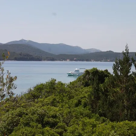 Holiday home Secluded Fisherman's Krknata, Dugi Otok - 8187 *